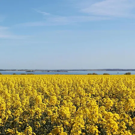 Lovely In With Wifi 아파트 Wißmar